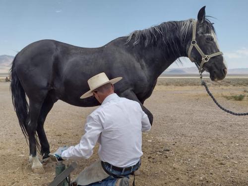 received_146114130956545