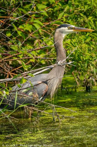 207572712_10159291152521866_6082702775443021478_n