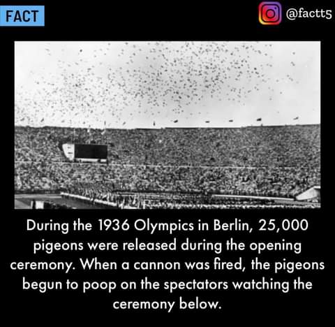 FB_IMG_1626917541009