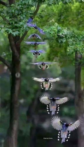 tumblr_ec7aa1111d4497a2238672ecee5cfb65_4d5552e3_640