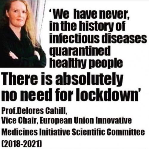 100090388_2880496085383085_6189482580060930048_o