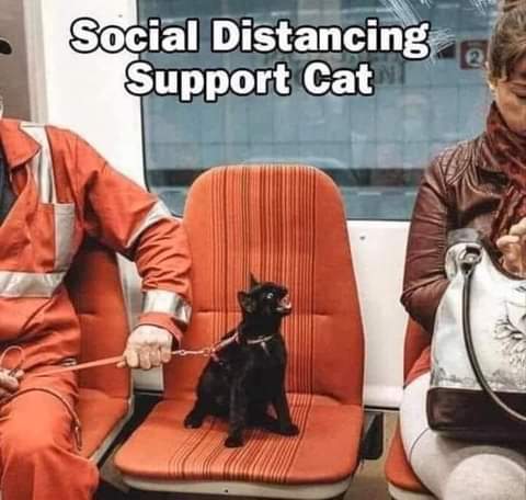 FB_IMG_1626573479306