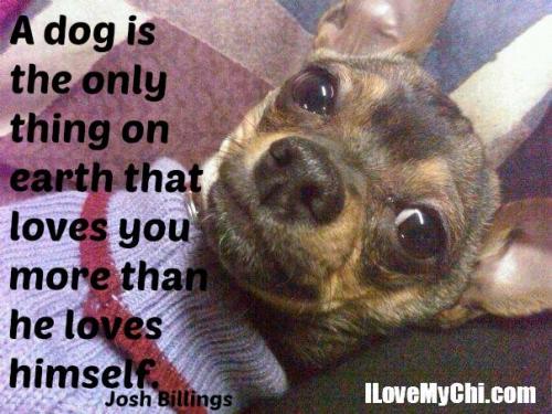 213048987_3893150120813401_5995384443353874120_n