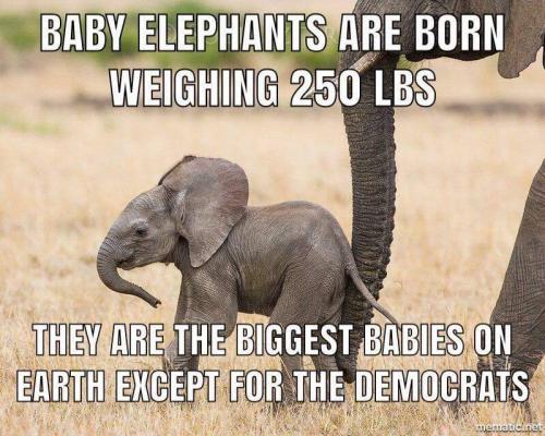 12:21:24 GMT-0500 (CDT)