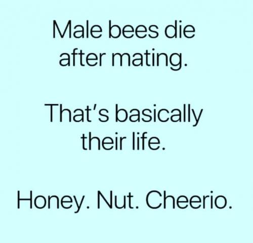 223663098_10220283354055006_5472811564419100497_n