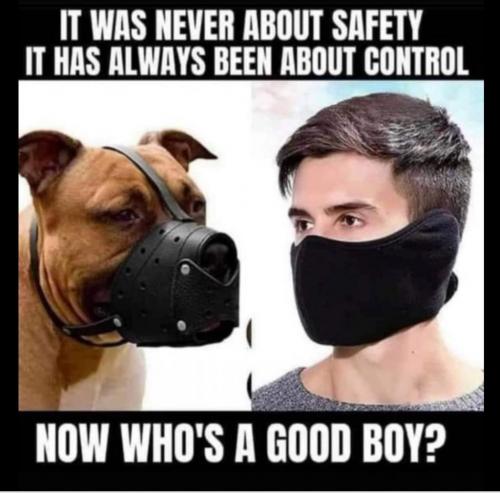 Screenshot_20210717-092202_Google