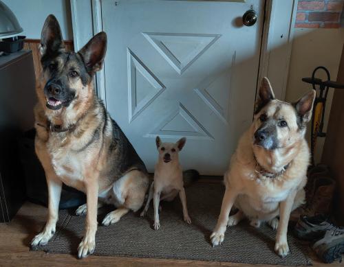 result_1606005171016