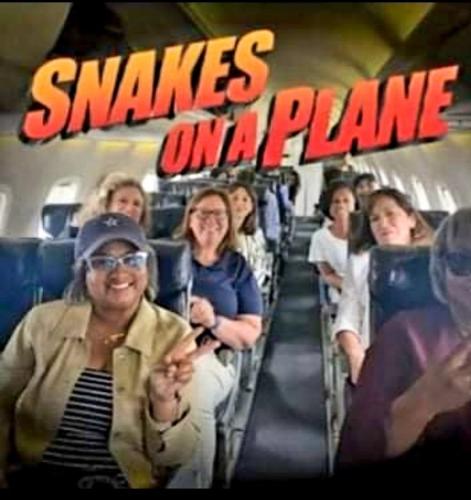 213229529_1040555793421203_9201197488414153457_n