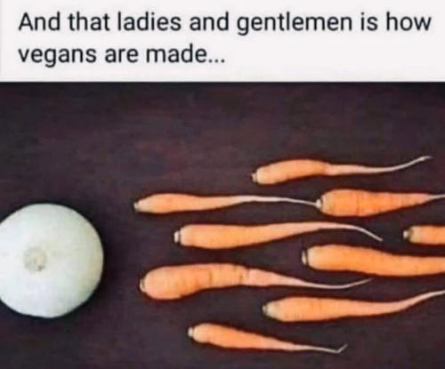 FB_IMG_1627072950574