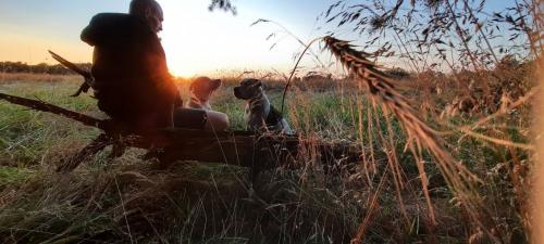 IMG_20210724_175226_786