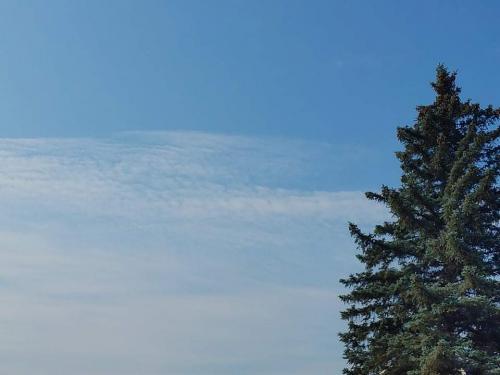 received_955632645271772