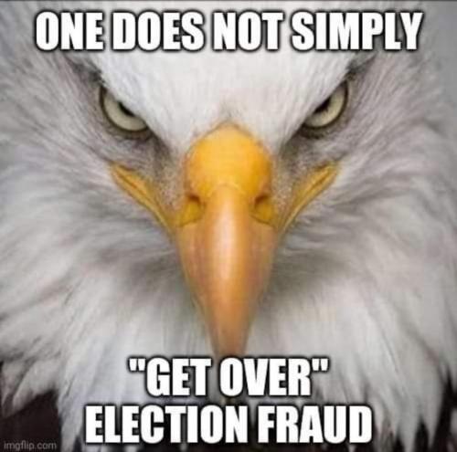 Election Fraud Eagle