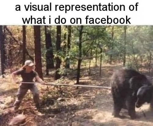 a visual represenation of what i do on facebook