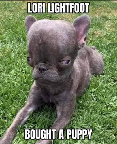 FB_IMG_1627614925571