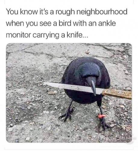 FB_IMG_1620158945296