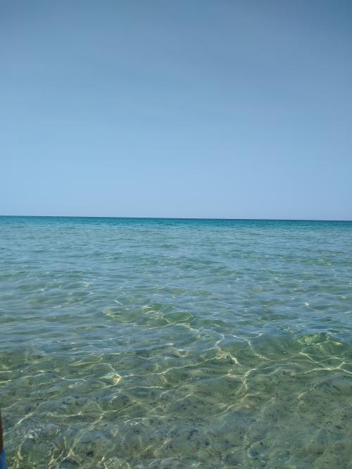 inbound5185605619244074800