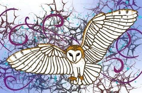 received_339684053927088