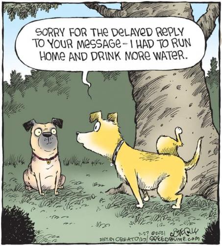 19:31:31 GMT-0700 (PDT)