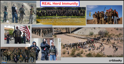 real_herd_immunity