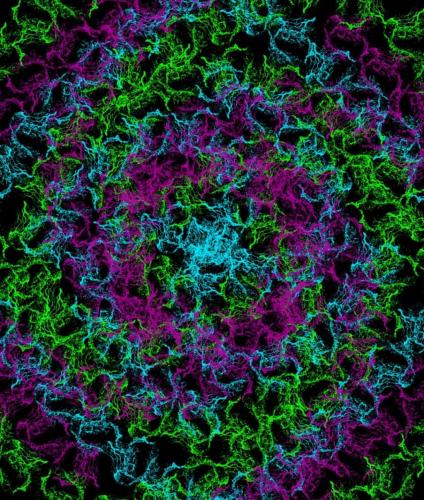 FB_IMG_1625948589347