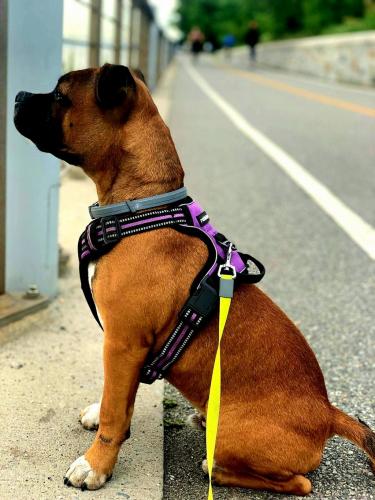 00:41:45 GMT-0400 (EDT)