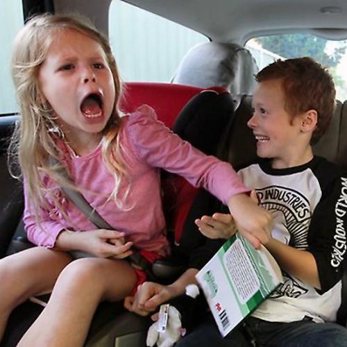 arguing-chidren-backseat