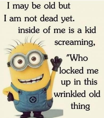 FB_IMG_1626273388954