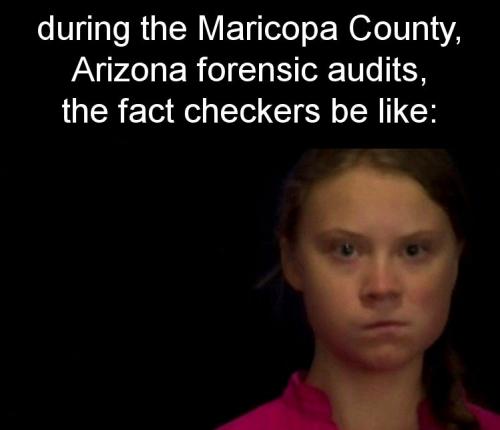 forensic audits01