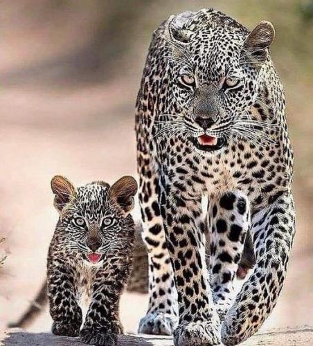 218185810_1316542238741889_439764021235536167_n