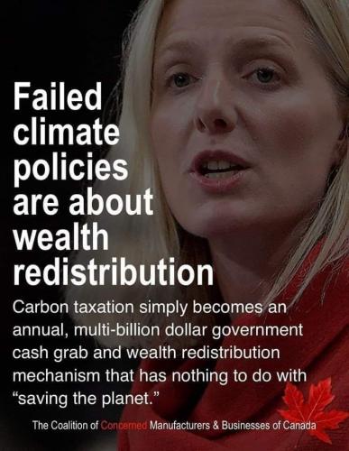 84446784_147825713350316_4943265538152333312_n