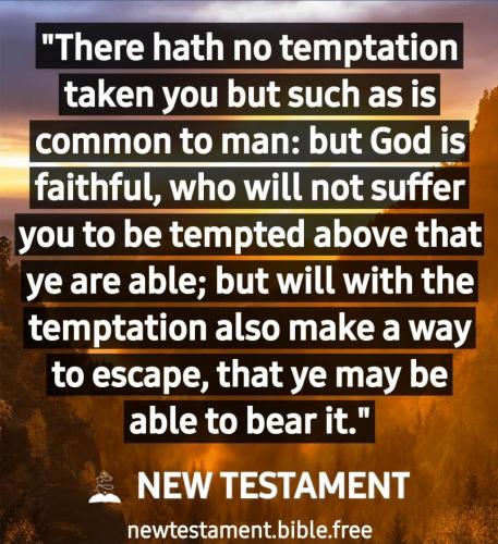 Screenshot_20210706-130748_New Testament Bible free