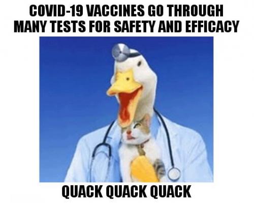 covid 19 vaccines