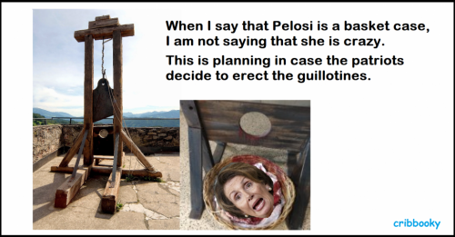 basket_case_pelosi