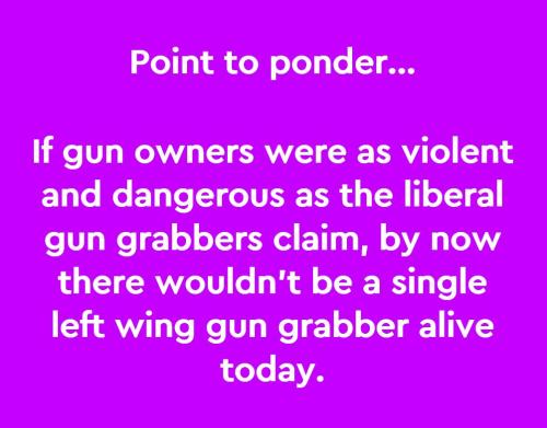 Gun Grabbers