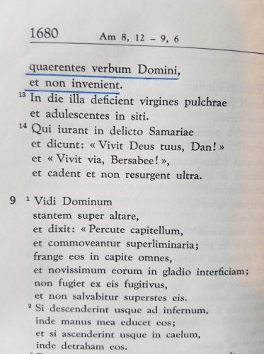 FB_IMG_1625609527451