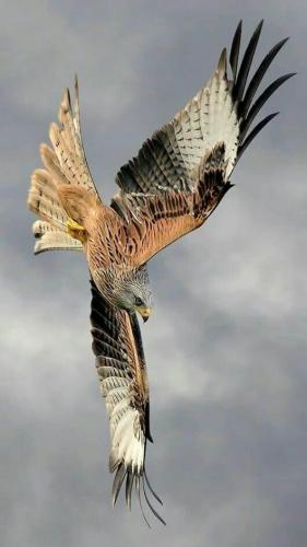 tumblr_prj41bPW3j1wy2m10_640