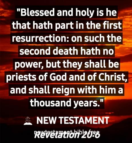 Screenshot_20210703-145820_New Testament Bible free