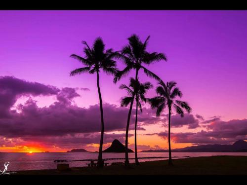 F72C4DBA-91EC-48B2-8DAB-6885EDE3B9D3