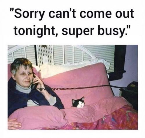 photo_2021-07-10_11-19-04