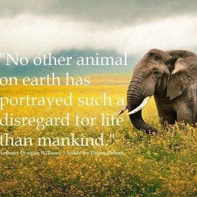 FB_IMG_1627422426376