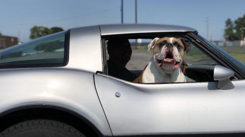 21:53:31 GMT-0500 (CDT).image