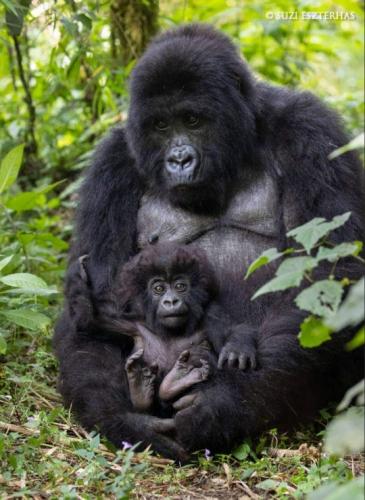 tumblr_96b5d48464f628c6cf8a49c56ee1804e_7ffcb086_540