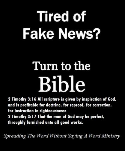 222008269_4087627208003046_8022190513351681689_n