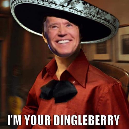 biden bingle