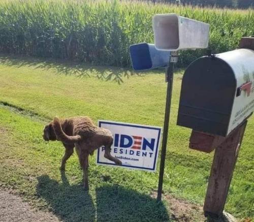 18:57:03 GMT-0500 (CDT)