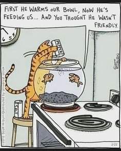 FB_IMG_1625774068892