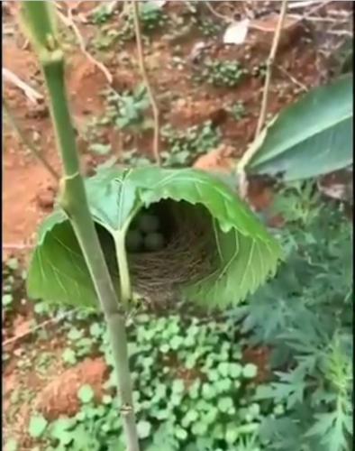 14:32:09 GMT-0500 (CDT)