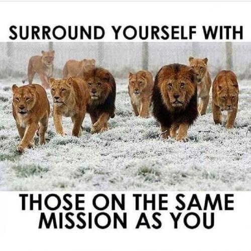 11:24:11 GMT-0500 (CDT).image