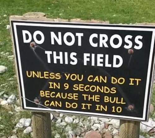 218220967_547016876474455_6542444122341321847_n