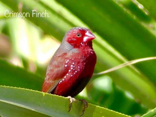 226814835_1645119499017733_8761936457241249681_n